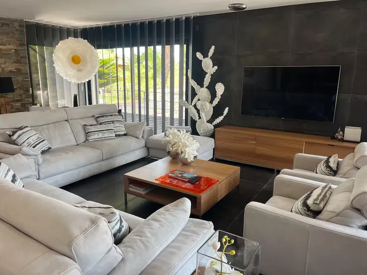 Bright living room with garden view